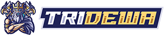 TRIDEWA Link